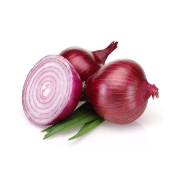 1491