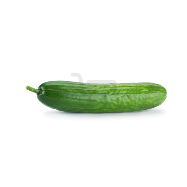2298 1.jpg
