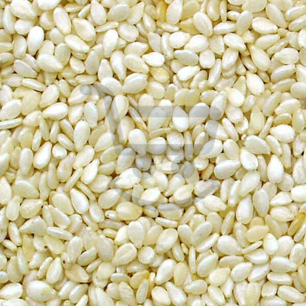 2313 ellu sesame white loose.jpg