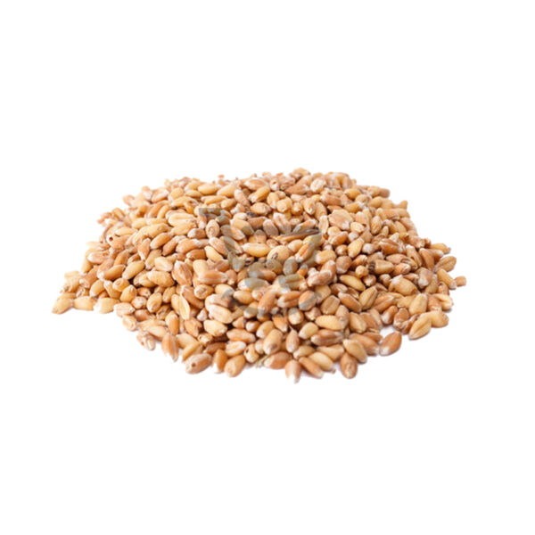 2343 wheat 500g 1.jpg
