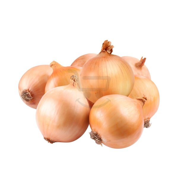 2497 1.jpg