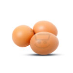 2984 egg nadan 1.jpg