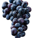 3116 grape black ordinary 1.jpg