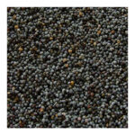 black couscous 1.jpg