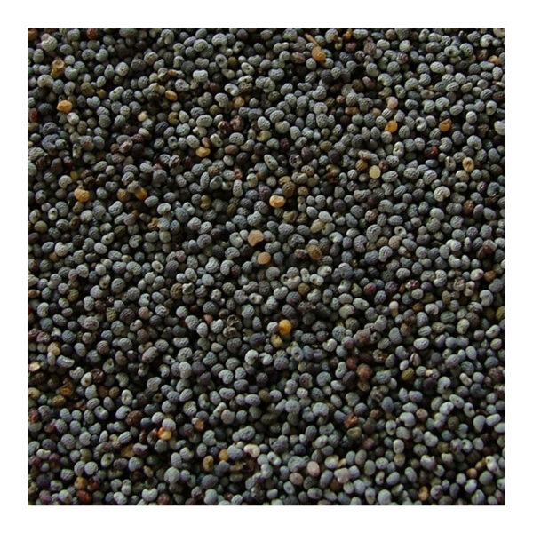 black couscous 1.jpg