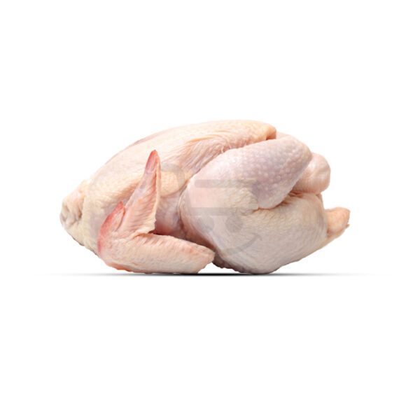 chicken 1.jpg