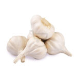 garlic 1493 1.jpg