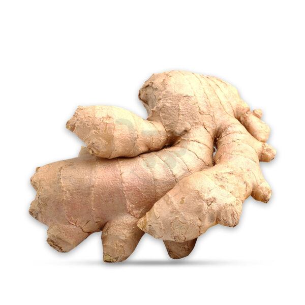 ginger 1.jpg