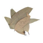 karuvayila bay leaf 1.jpg